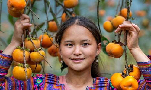 Sapa Ethnic Girl with fruits